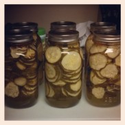 My first batch of bread and butter pickles!