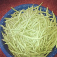 1/2 the green beans we picked last night! Headed straight home to can these tonight!